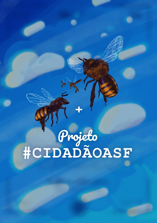 Projeto #cidadãoasf para monitoramento de atividade de voo em abelhas sem ferrão